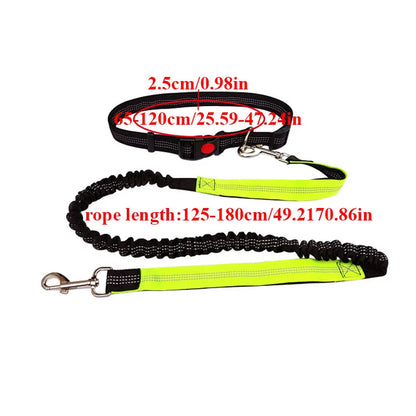 The Active-Glide Hands-Free Dog Leash & Adjustable Waist Belt System Nesta Pets