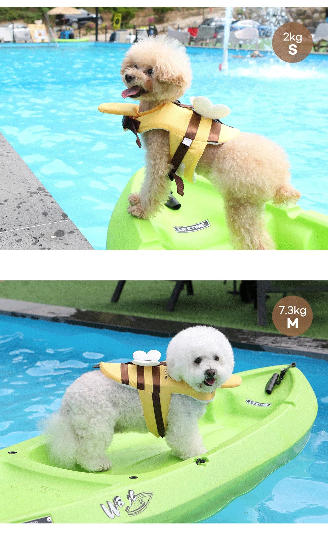 Summer Little Bee Dog Swimsuit Waterproof