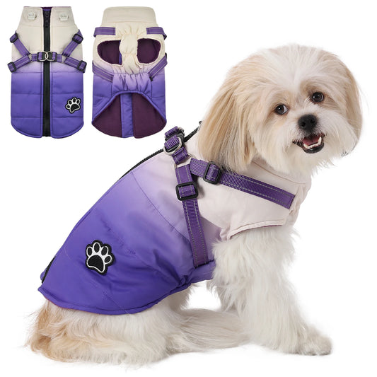 Shield Winter Pet Jacket with Built-In Walking Harness Nesta Pets