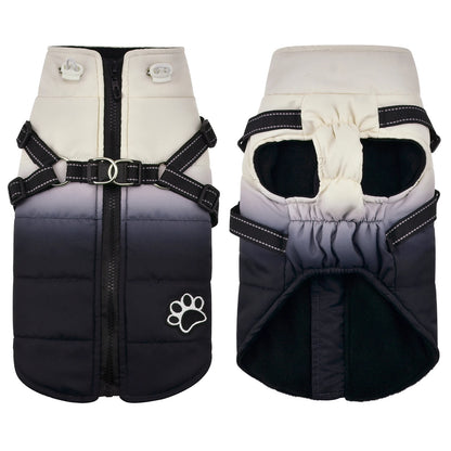 Shield Winter Pet Jacket with Built-In Walking Harness Nesta Pets