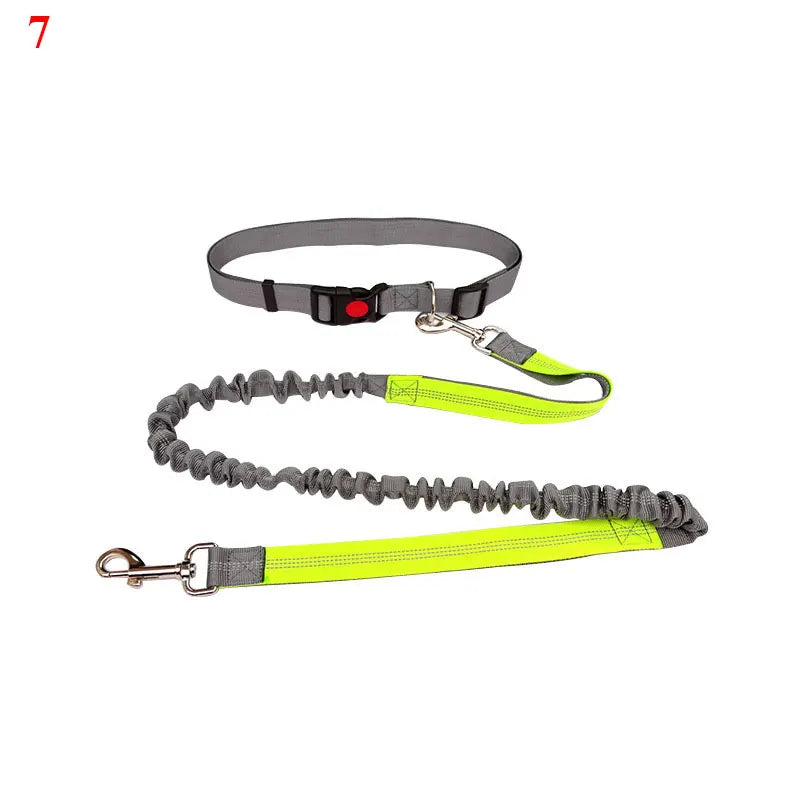 The Active-Glide Hands-Free Dog Leash & Adjustable Waist Belt System