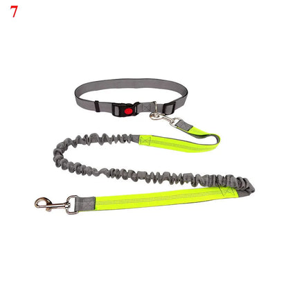 The Active-Glide Hands-Free Dog Leash & Adjustable Waist Belt System Nesta Pets