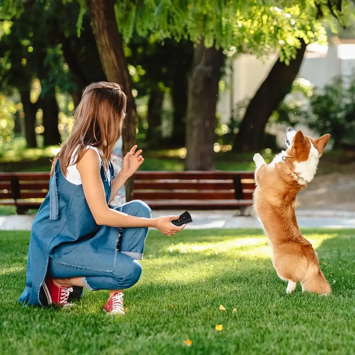 Dual-Action Ultrasonic Pet Anti-Bark Training Device & LED Light Nesta Pets