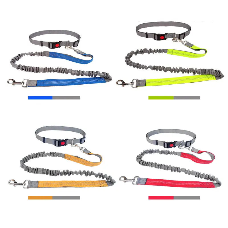 The Active-Glide Hands-Free Dog Leash & Adjustable Waist Belt System