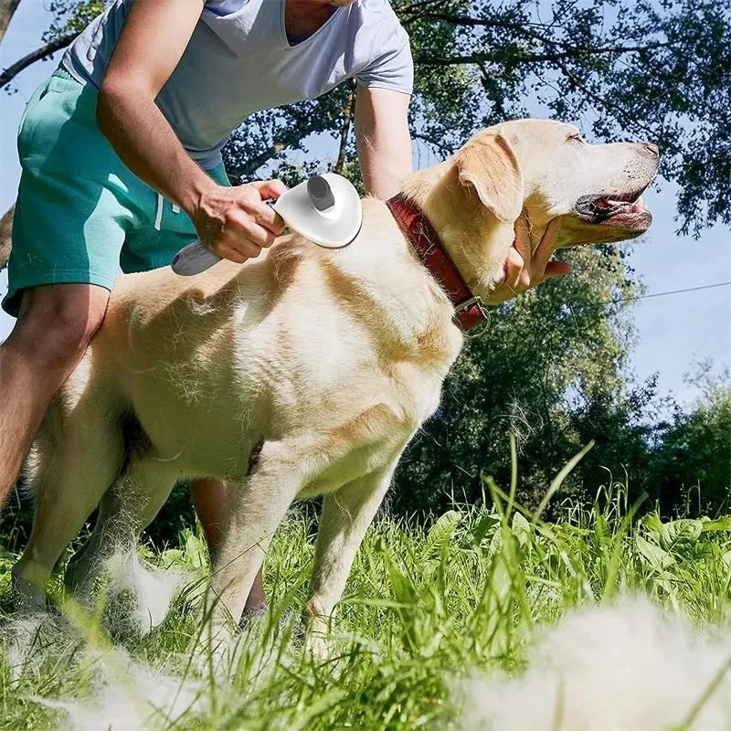 Cat and Dog Brush Comb Self Cleaning