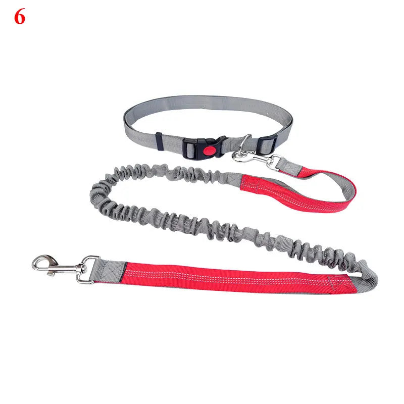 The Active-Glide Hands-Free Dog Leash & Adjustable Waist Belt System