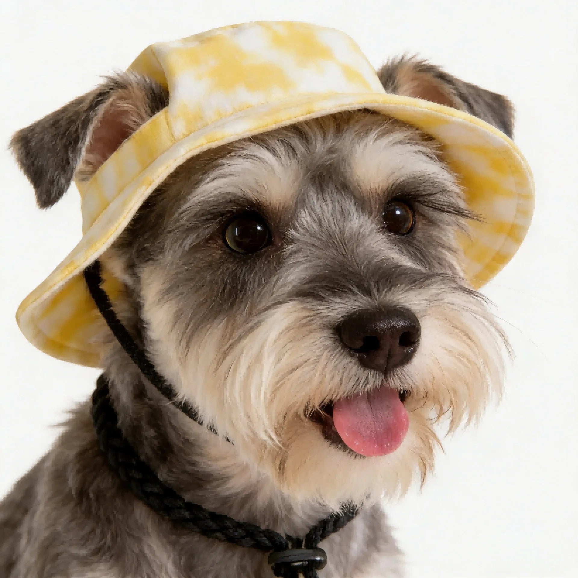 Small Dog Cat Cowboy Hat with Ear Holes
