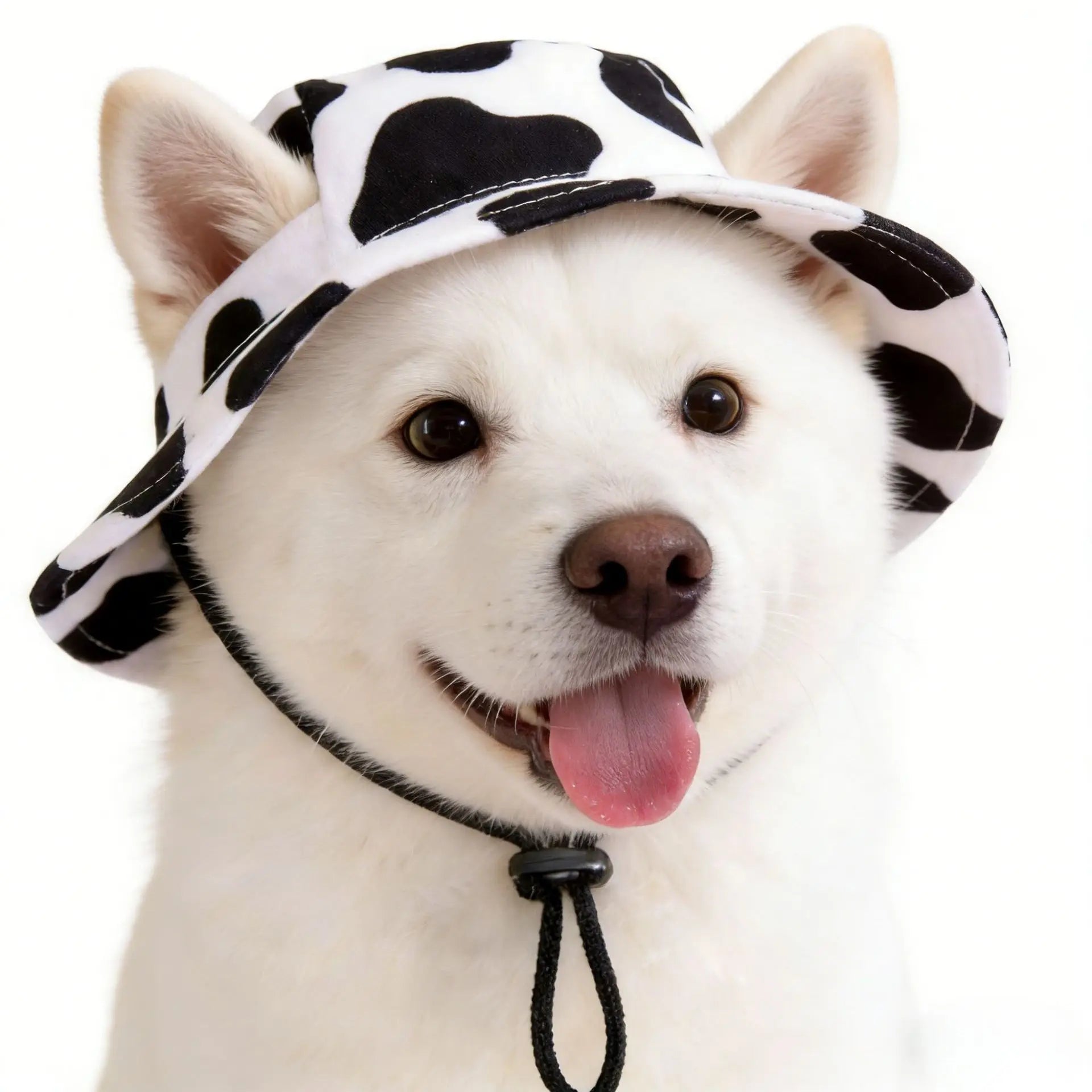Small Dog Cat Cowboy Hat with Ear Holes