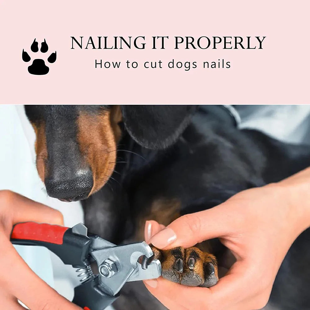 The Safe-Trim Pro Professional Dog Nail Clippers with Safety Guard