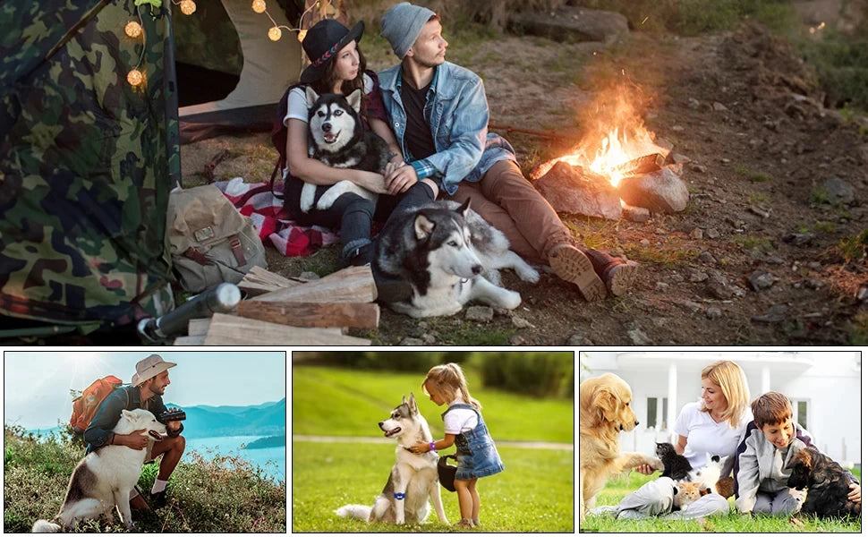 Dual-Action Ultrasonic Pet Anti-Bark Training Device & LED Light Nesta Pets