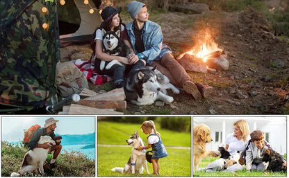 Dual-Action Ultrasonic Pet Anti-Bark Training Device & LED Light Nesta Pets