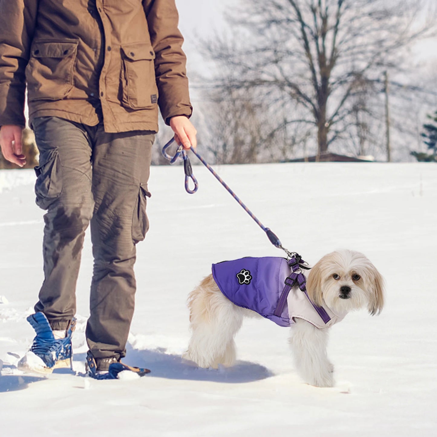 Shield Winter Pet Jacket with Built-In Walking Harness Nesta Pets