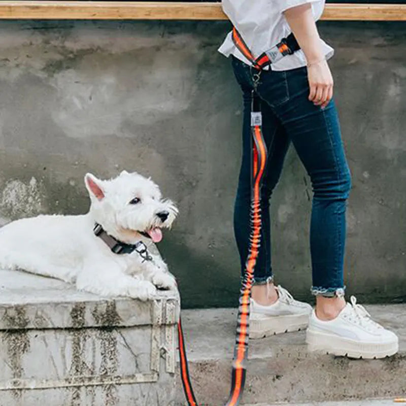 The Active-Glide Hands-Free Dog Leash & Adjustable Waist Belt System