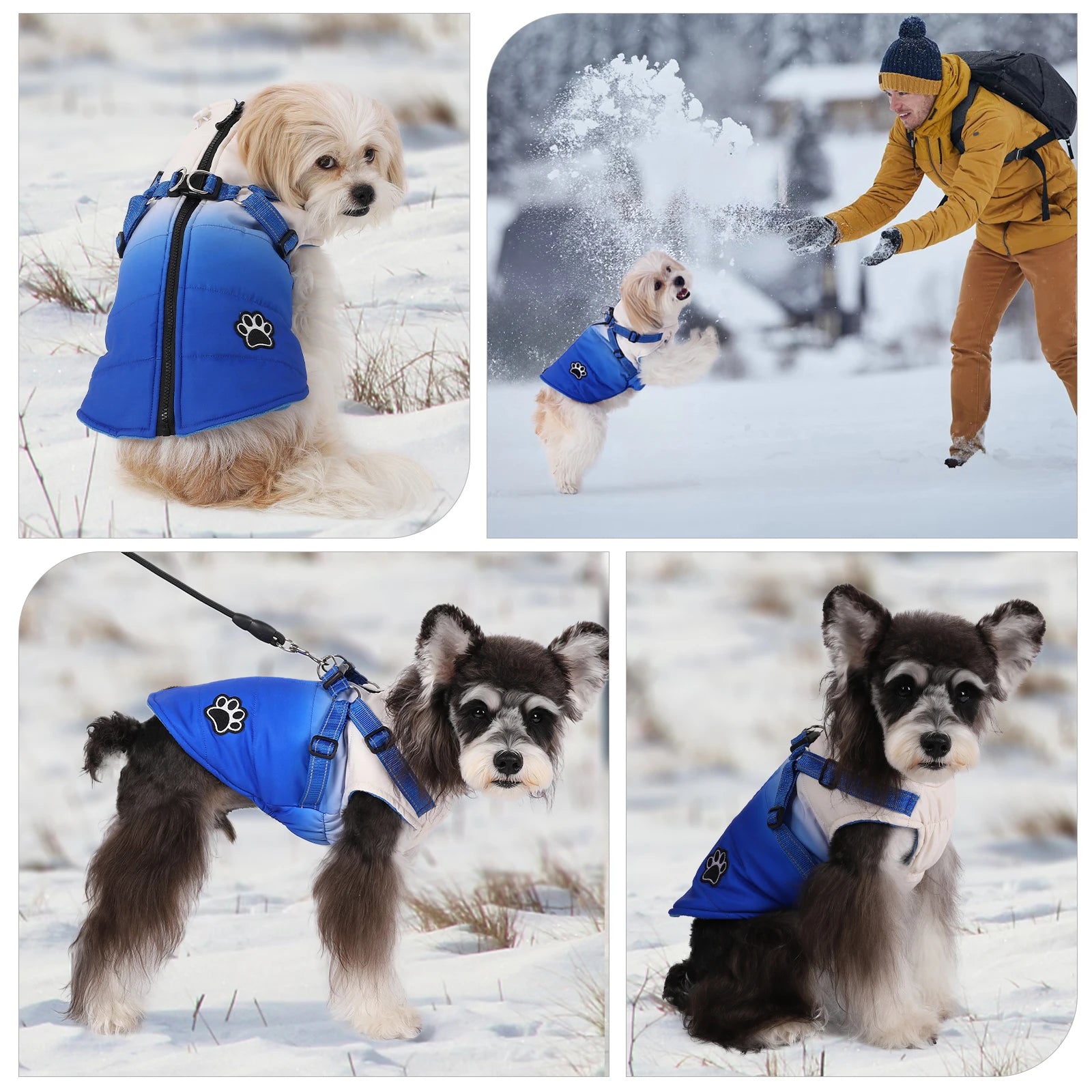 Shield Winter Pet Jacket with Built-In Walking Harness Nesta Pets