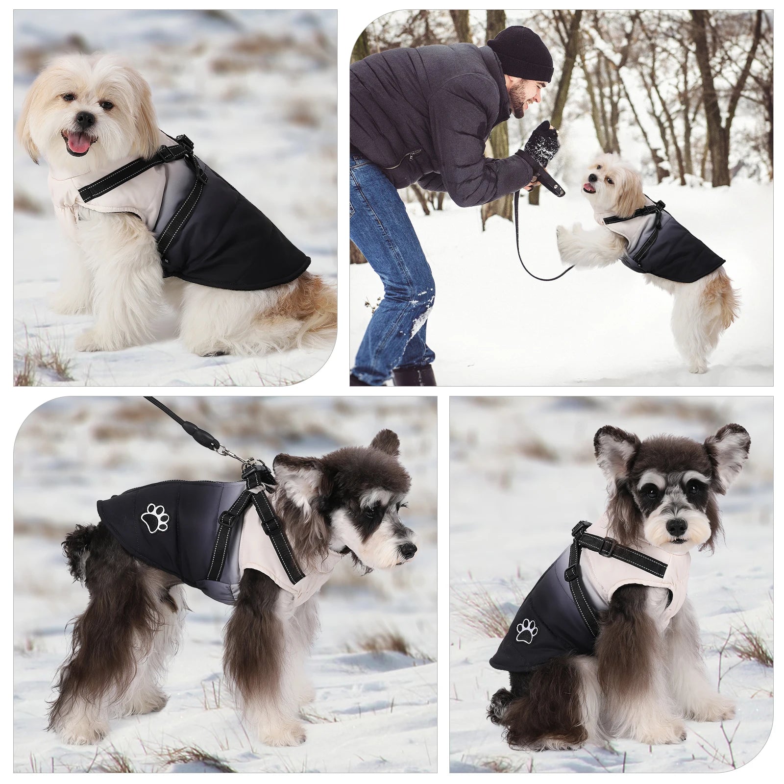 Shield Winter Pet Jacket with Built-In Walking Harness Nesta Pets