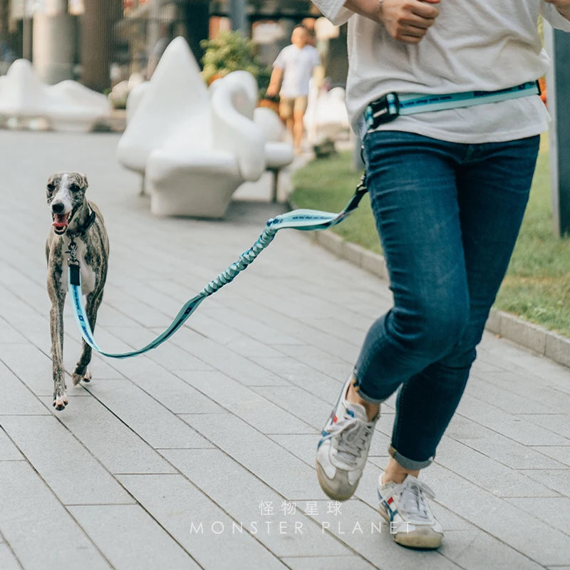 The Active-Glide Hands-Free Dog Leash & Adjustable Waist Belt System
