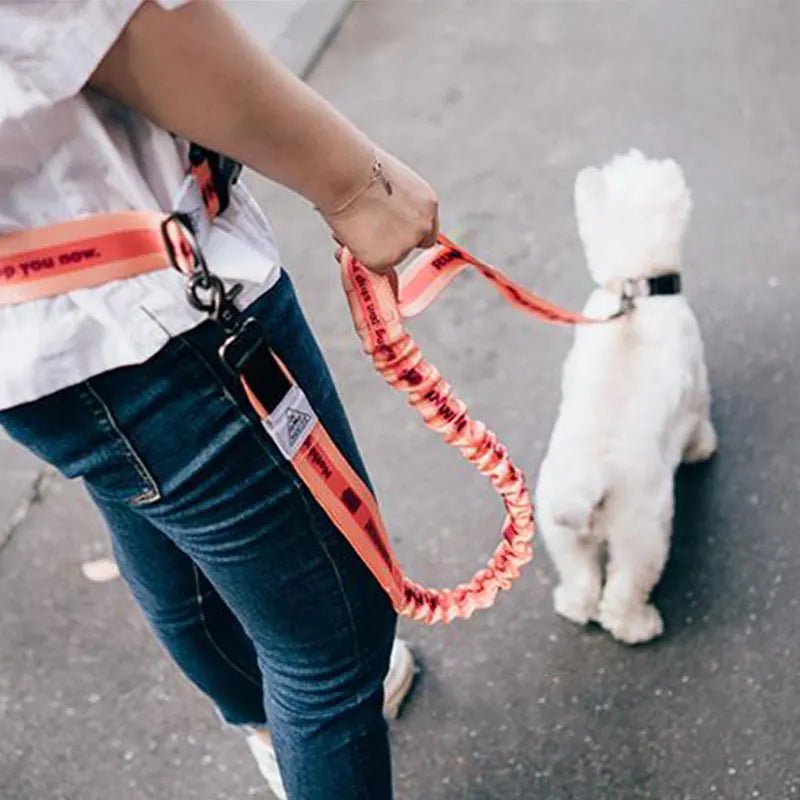 The Active-Glide Hands-Free Dog Leash & Adjustable Waist Belt System