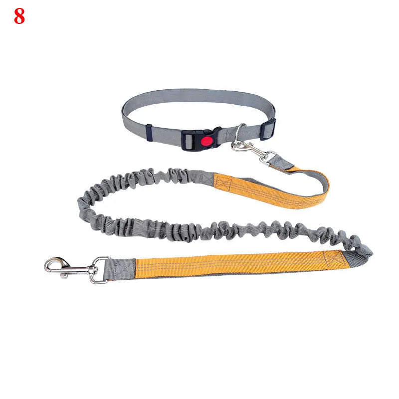 The Active-Glide Hands-Free Dog Leash & Adjustable Waist Belt System