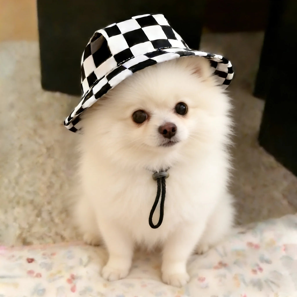 Small Dog Cat Cowboy Hat with Ear Holes