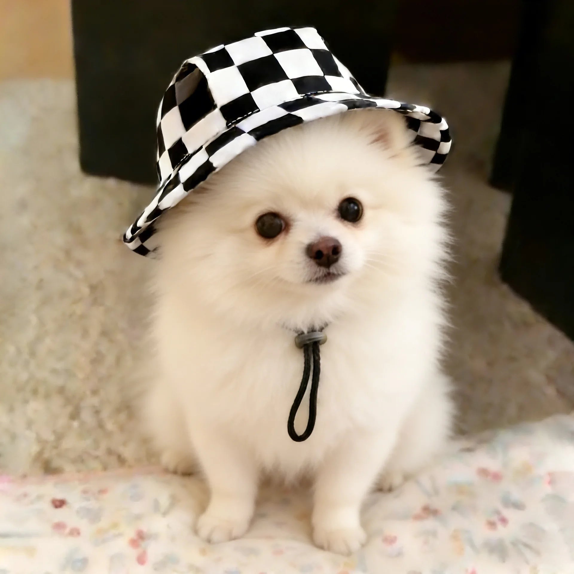 Small Dog Cat Cowboy Hat with Ear Holes