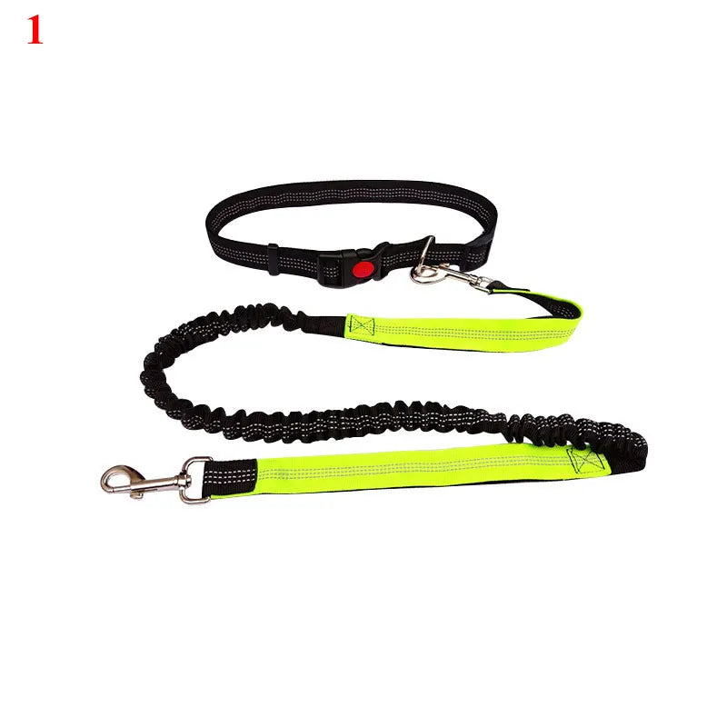 The Active-Glide Hands-Free Dog Leash & Adjustable Waist Belt System