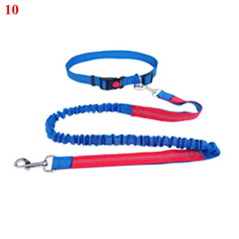 The Active-Glide Hands-Free Dog Leash & Adjustable Waist Belt System