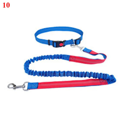 The Active-Glide Hands-Free Dog Leash & Adjustable Waist Belt System Nesta Pets
