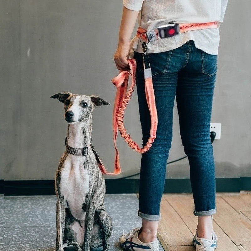 The Active-Glide Hands-Free Dog Leash & Adjustable Waist Belt System
