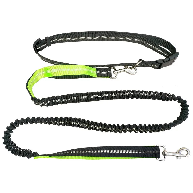 The Active-Glide Hands-Free Dog Leash & Adjustable Waist Belt System