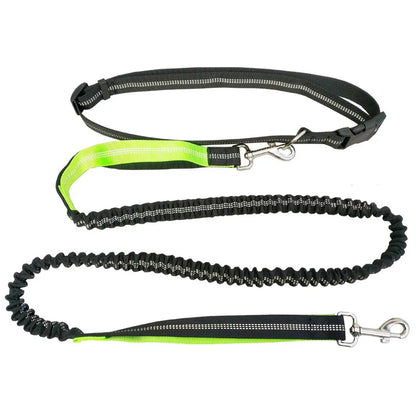 The Active-Glide Hands-Free Dog Leash & Adjustable Waist Belt System Nesta Pets