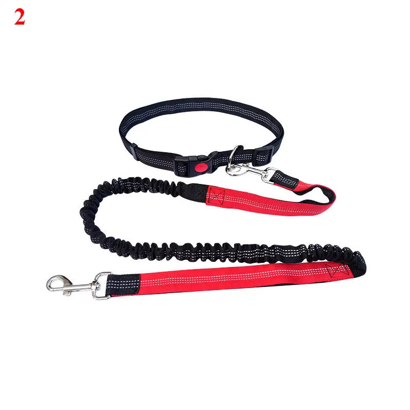 The Active-Glide Hands-Free Dog Leash & Adjustable Waist Belt System