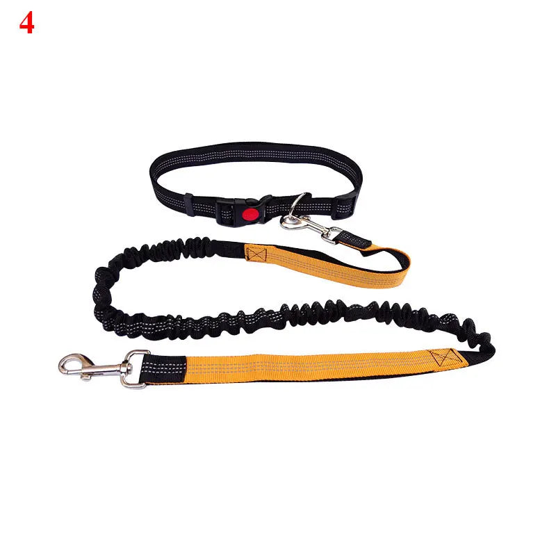 The Active-Glide Hands-Free Dog Leash & Adjustable Waist Belt System