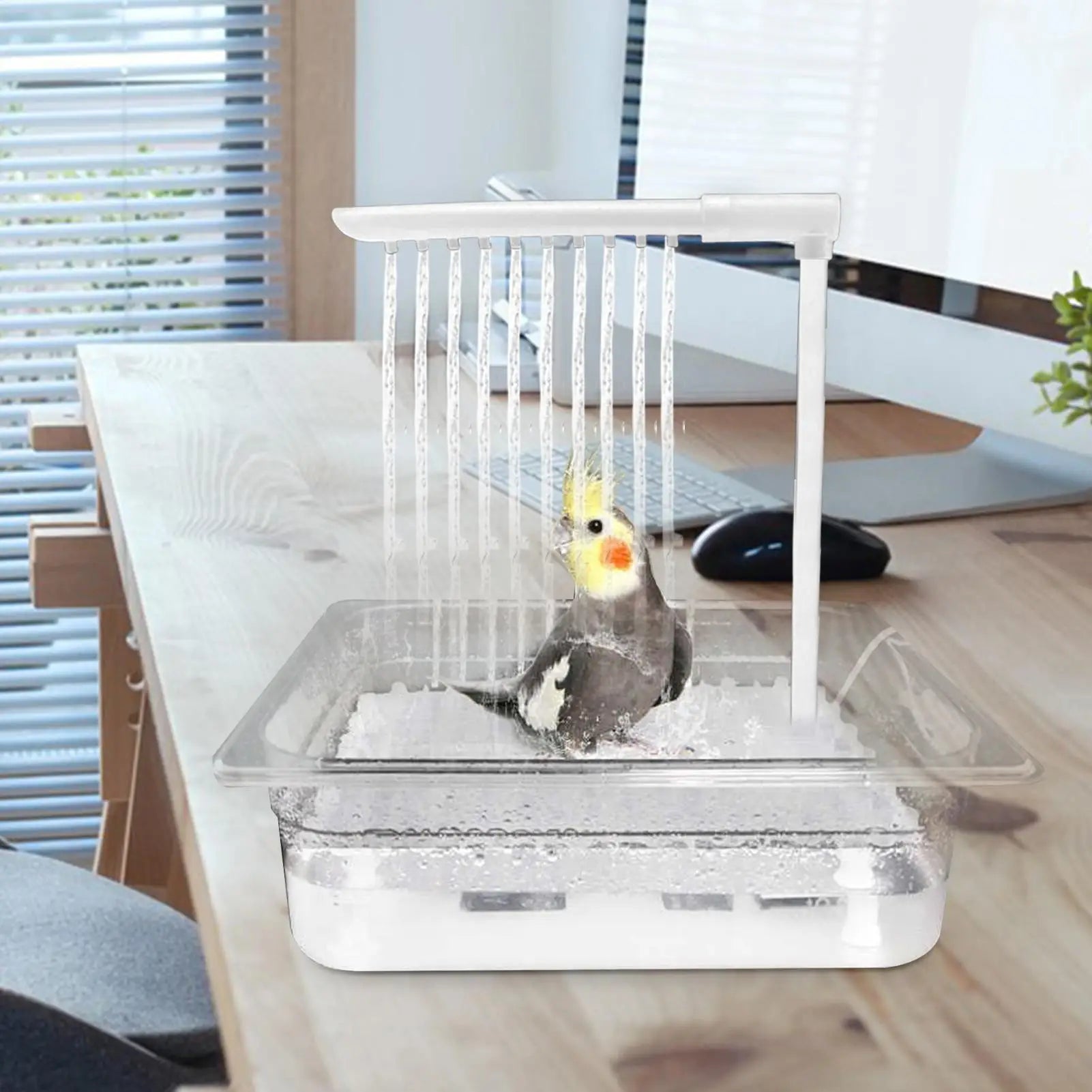 Parrot Aqua-Flow Automatic Pet Bird Bathing Fountain & Pump Set Nesta Pets