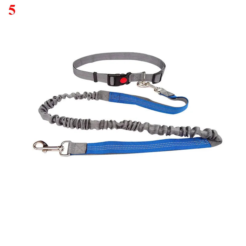 The Active-Glide Hands-Free Dog Leash & Adjustable Waist Belt System