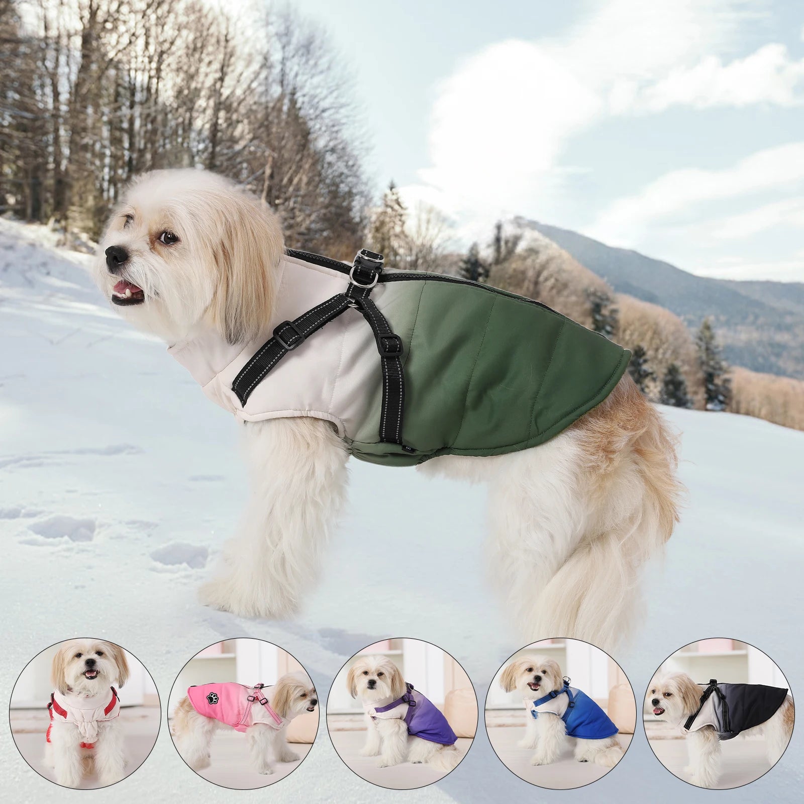 Shield Winter Pet Jacket with Built-In Walking Harness Nesta Pets