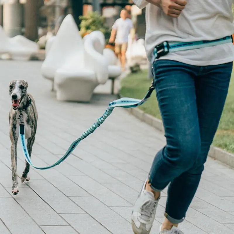 The Active-Glide Hands-Free Dog Leash & Adjustable Waist Belt System