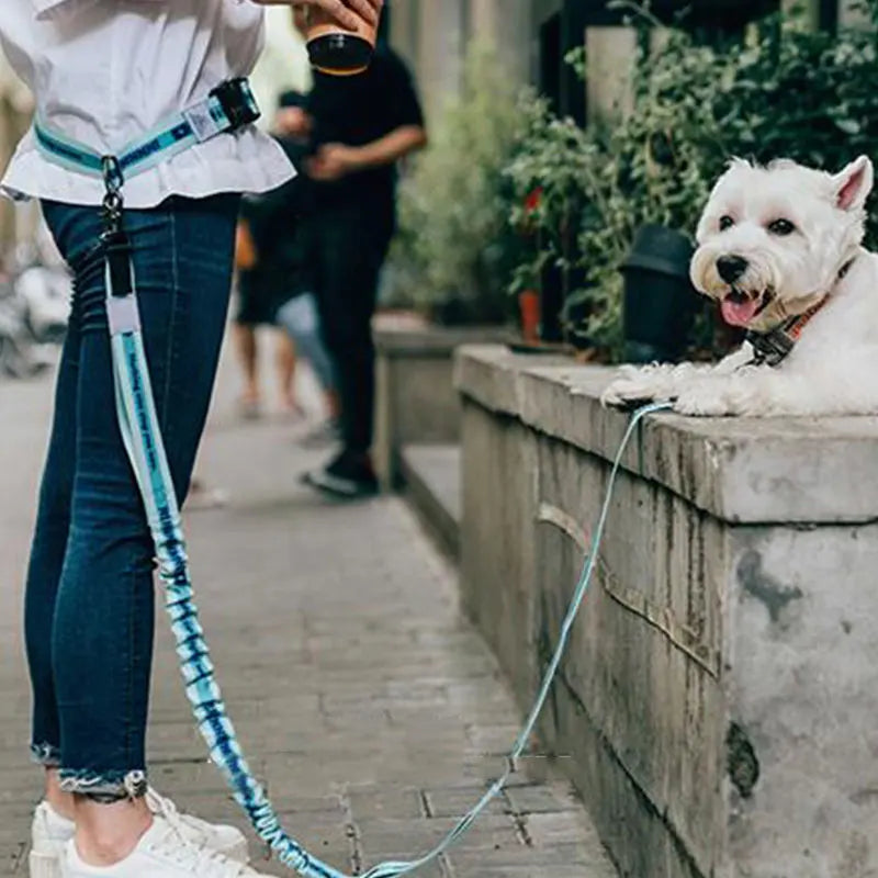 The Active-Glide Hands-Free Dog Leash & Adjustable Waist Belt System