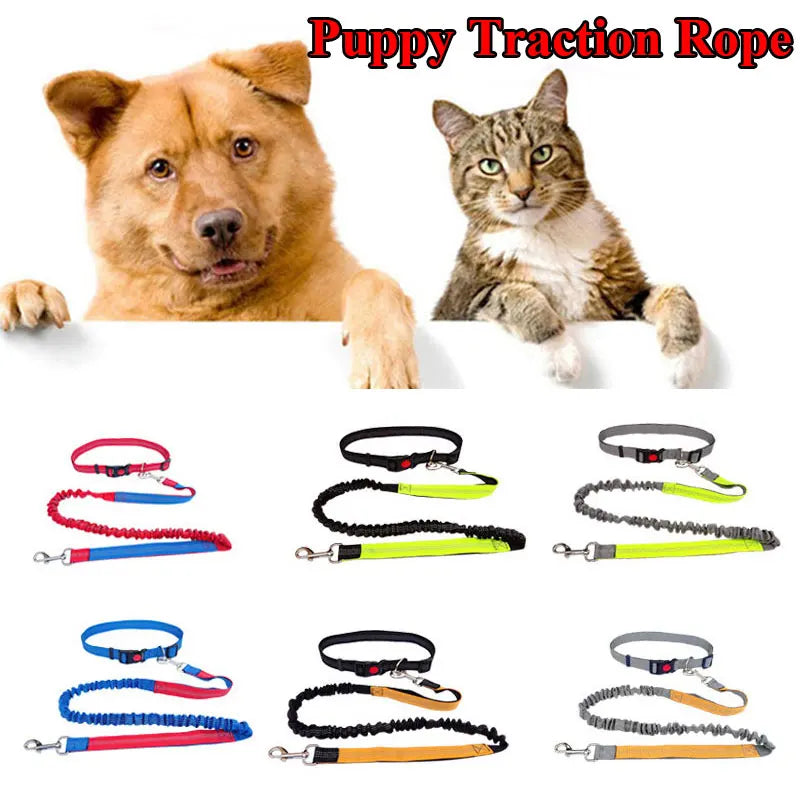 The Active-Glide Hands-Free Dog Leash & Adjustable Waist Belt System