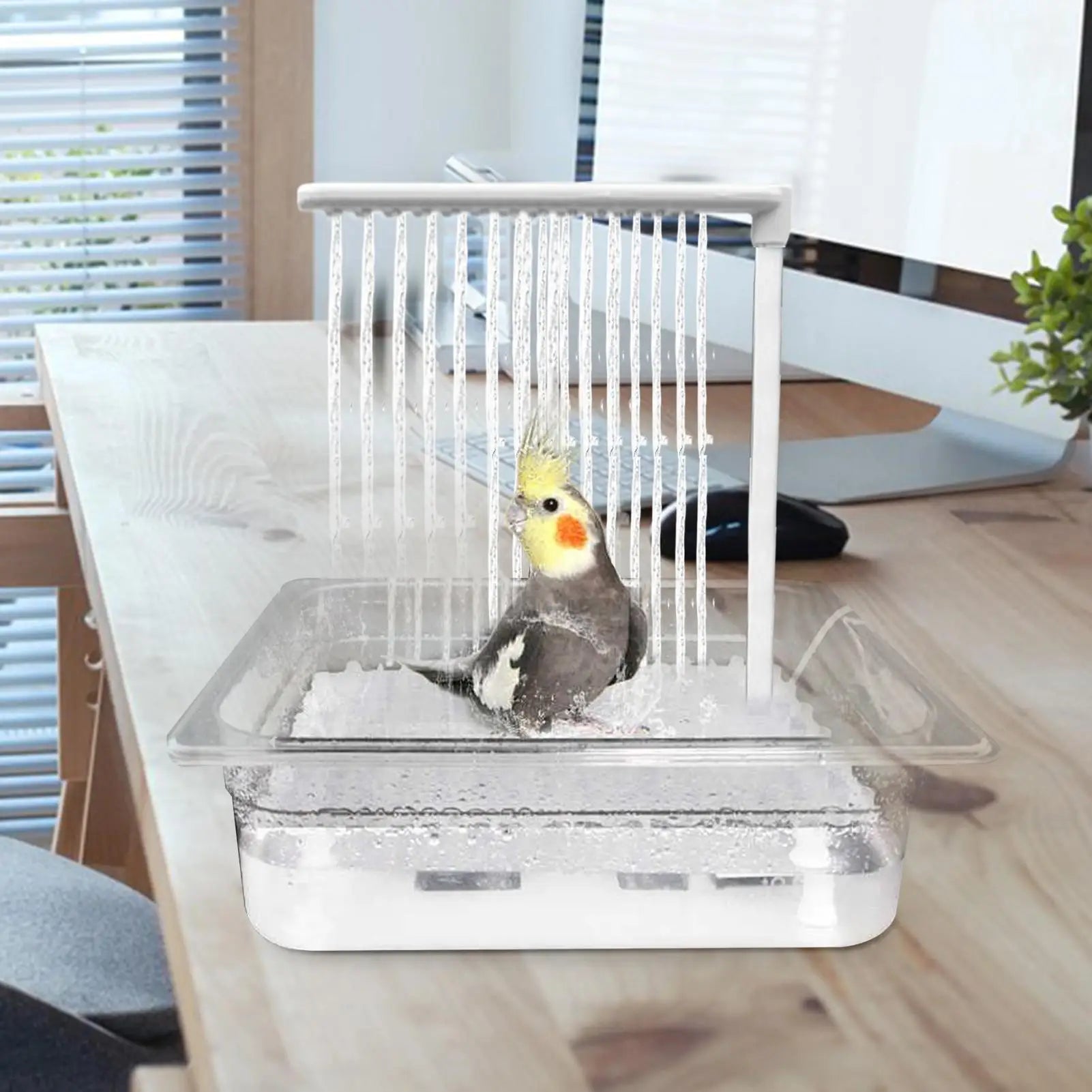 Parrot Aqua-Flow Automatic Pet Bird Bathing Fountain & Pump Set Nesta Pets