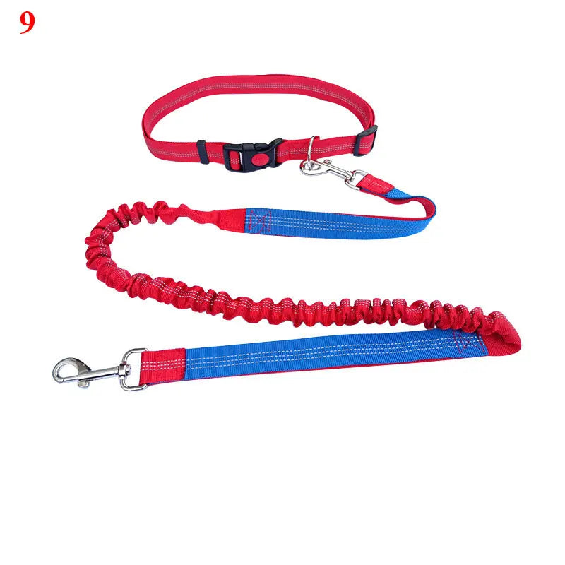 The Active-Glide Hands-Free Dog Leash & Adjustable Waist Belt System