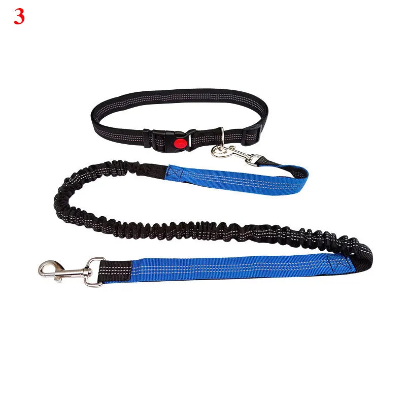 The Active-Glide Hands-Free Dog Leash & Adjustable Waist Belt System