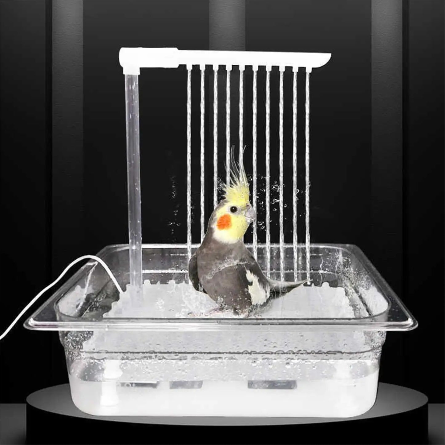 Parrot Aqua-Flow Automatic Pet Bird Bathing Fountain & Pump Set Nesta Pets