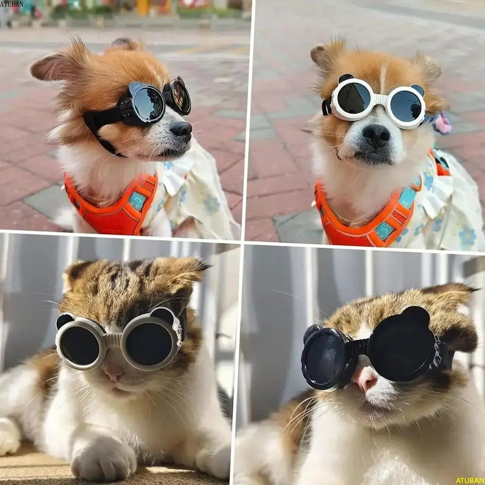 The Air-Glide Anti-UV Windproof Pet Sunglasses & Goggles