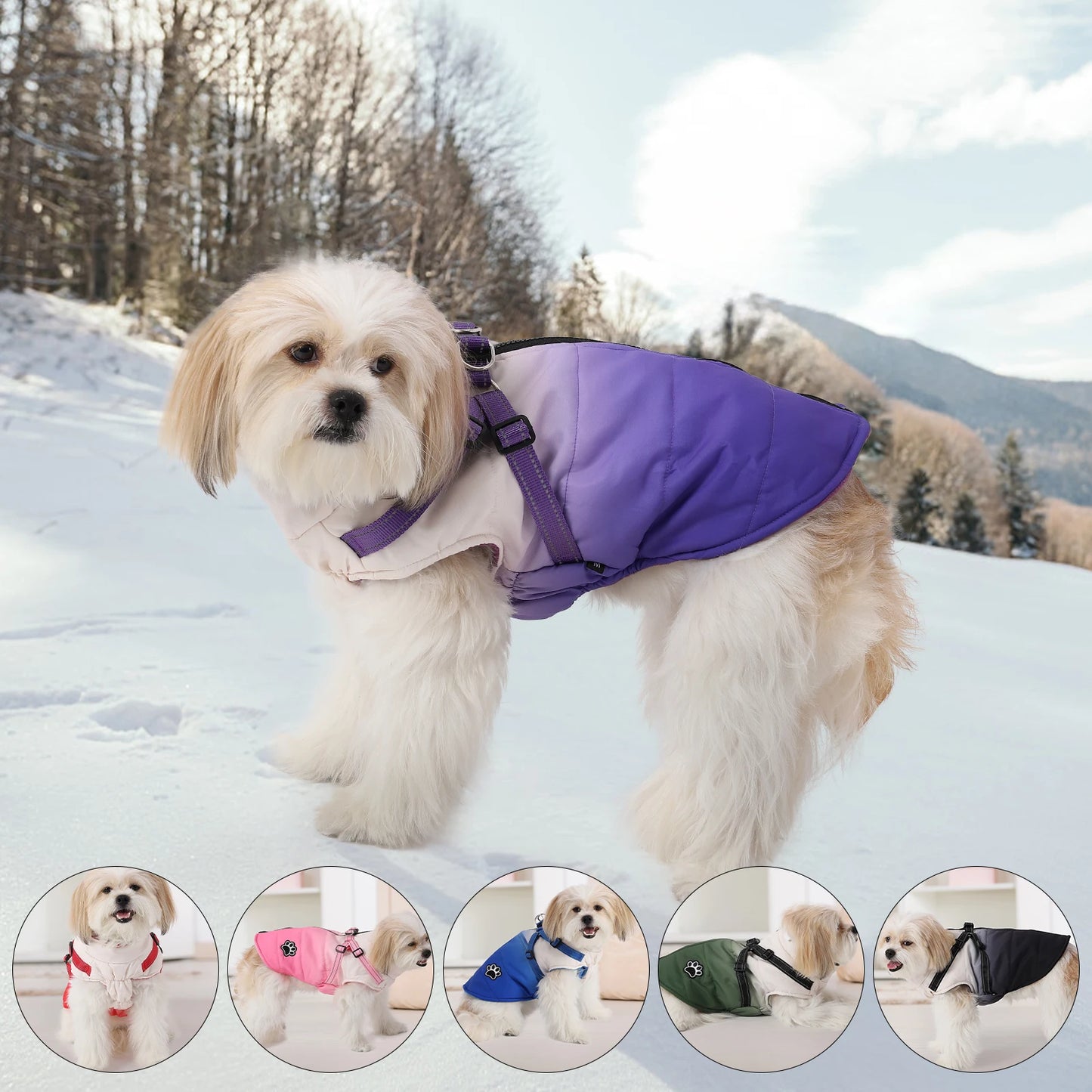 Shield Winter Pet Jacket with Built-In Walking Harness Nesta Pets