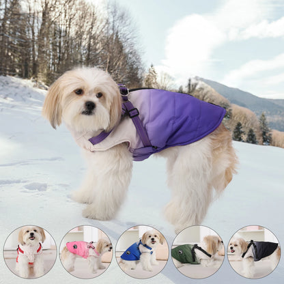 Shield Winter Pet Jacket with Built-In Walking Harness Nesta Pets