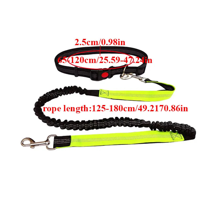 The Active-Glide Hands-Free Dog Leash & Adjustable Waist Belt System