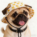 Small Dog Cat Cowboy Hat with Ear Holes