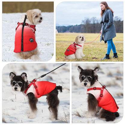 Shield Winter Pet Jacket with Built-In Walking Harness Nesta Pets