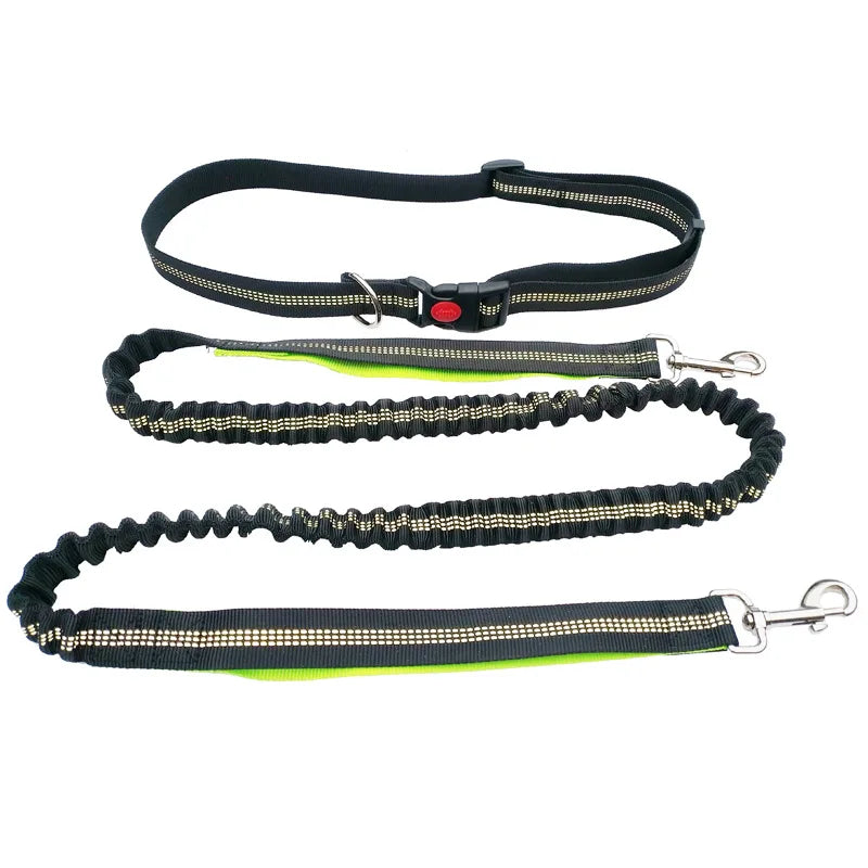 The Active-Glide Hands-Free Dog Leash & Adjustable Waist Belt System