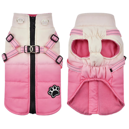 Shield Winter Pet Jacket with Built-In Walking Harness Nesta Pets